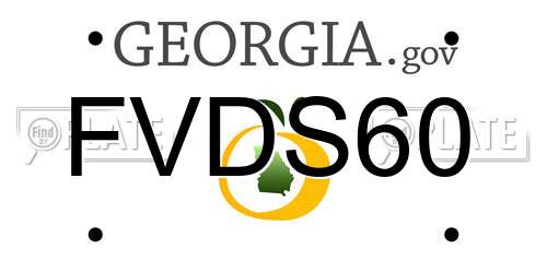 FVDS60 Georgia License Plate