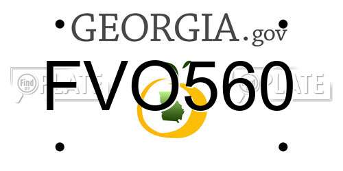 FVO560 Georgia License Plate
