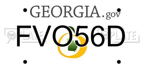 FVO56D Georgia License Plate