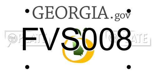 FVS008 Georgia License Plate