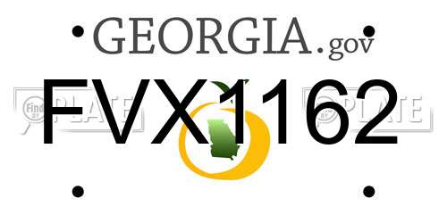 FVX1162 Georgia License Plate