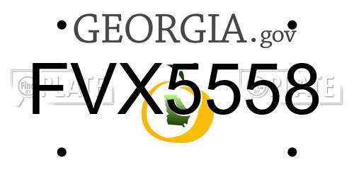 FVX5558 Georgia License Plate