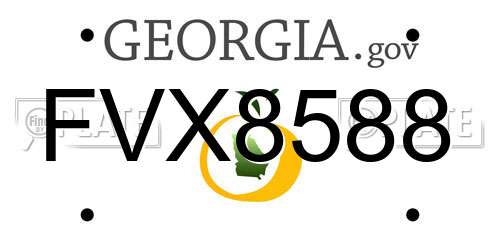 FVX8588 Georgia License Plate