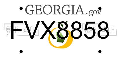 FVX8858 Georgia License Plate