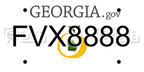 FVX8888 Georgia License Plate