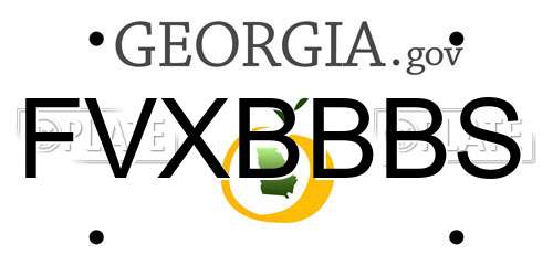 FVXBBBS Georgia License Plate
