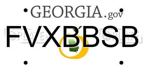 FVXBBSB Georgia License Plate