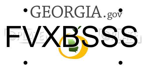 FVXBSSS Georgia License Plate