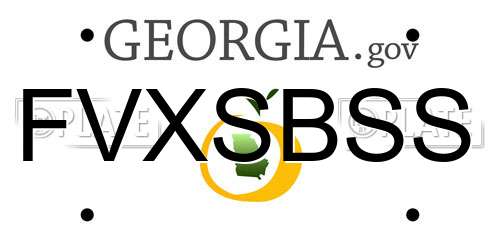FVXSBSS Georgia License Plate