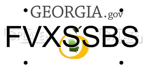FVXSSBS Georgia License Plate