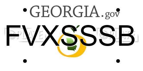 FVXSSSB Georgia License Plate