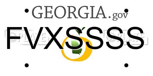 FVXSSSS Georgia License Plate