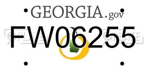 FW06255 Georgia License Plate