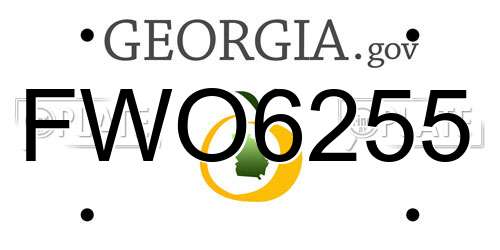 FWO6255 Georgia License Plate