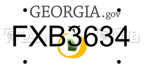 FXB3634 Georgia License Plate