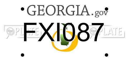 FXI087 Georgia License Plate