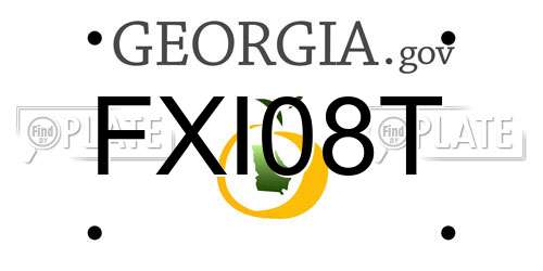 FXI08T Georgia License Plate
