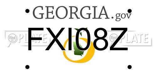 FXI08Z Georgia License Plate