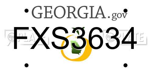 FXS3634 Georgia License Plate