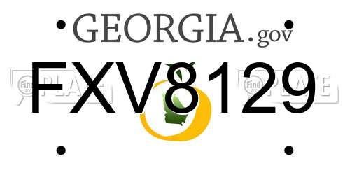 FXV8129 Georgia License Plate