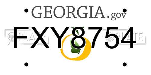 FXY8754 Georgia License Plate