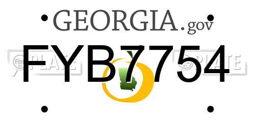 FYB7754 Georgia License Plate