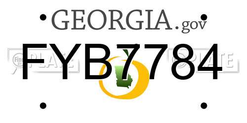 FYB7784 Georgia License Plate