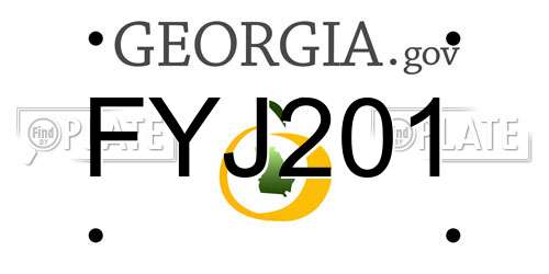 FYJ201 Georgia License Plate
