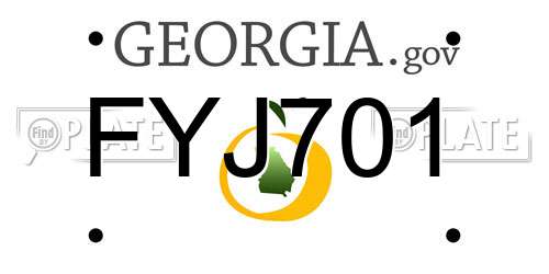 FYJ701 Georgia License Plate