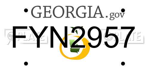 FYN2957 Georgia License Plate