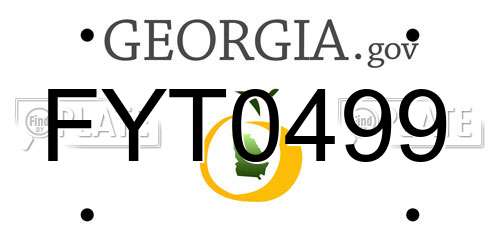 FYT0499 Georgia License Plate