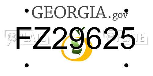 FZ29625 Georgia License Plate