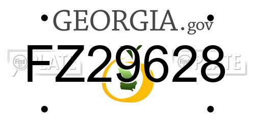 FZ29628 Georgia License Plate