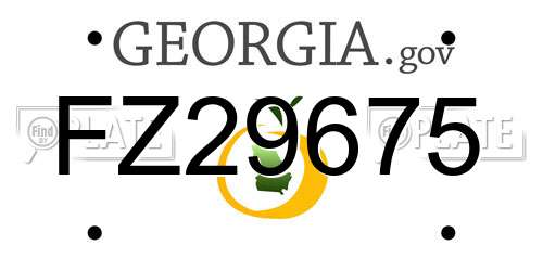 FZ29675 Georgia License Plate