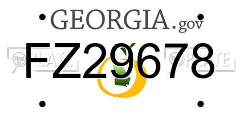 FZ29678 Georgia License Plate