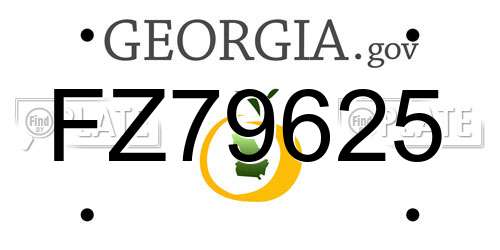 FZ79625 Georgia License Plate