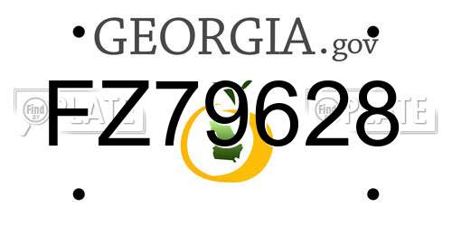 FZ79628 Georgia License Plate