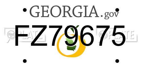 FZ79675 Georgia License Plate