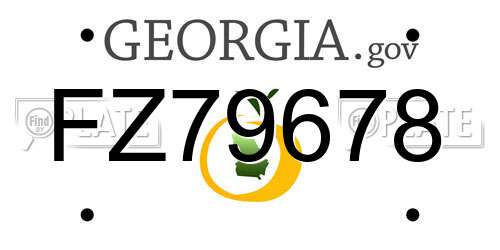 FZ79678 Georgia License Plate