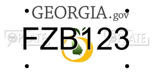 FZB123 Georgia License Plate