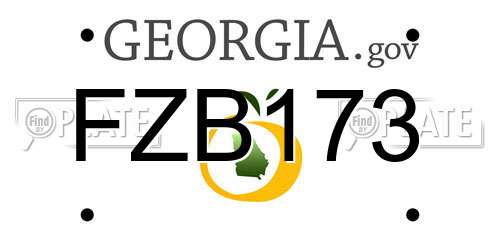 FZB173 Georgia License Plate