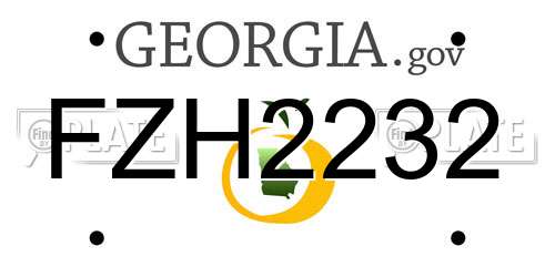 FZH2232 Georgia License Plate