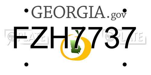 FZH7737 Georgia License Plate