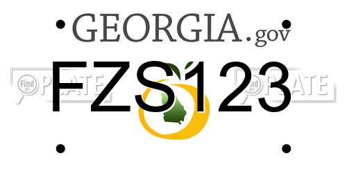 FZS123 Georgia License Plate