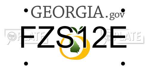 FZS12E Georgia License Plate