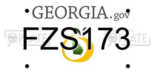 FZS173 Georgia License Plate
