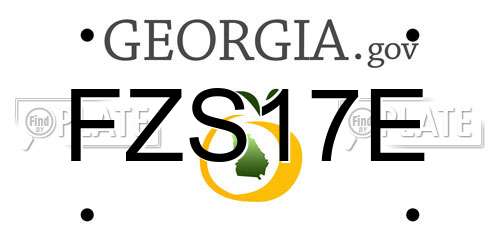 FZS17E Georgia License Plate