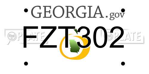 FZT302 Georgia License Plate