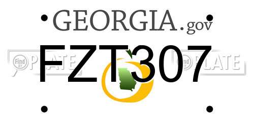 FZT307 Georgia License Plate