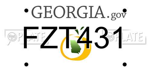 FZT431 Georgia License Plate